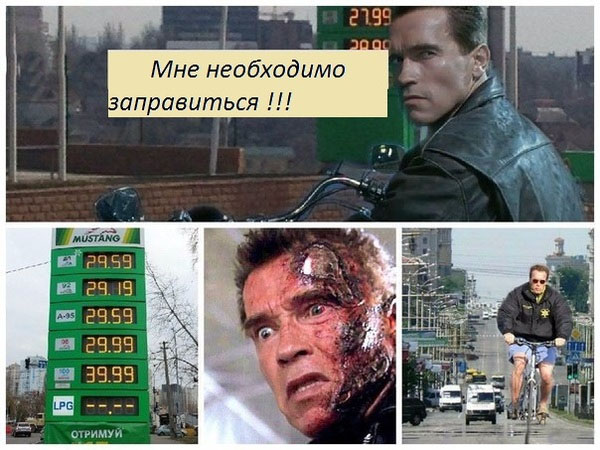 5240380.jpg