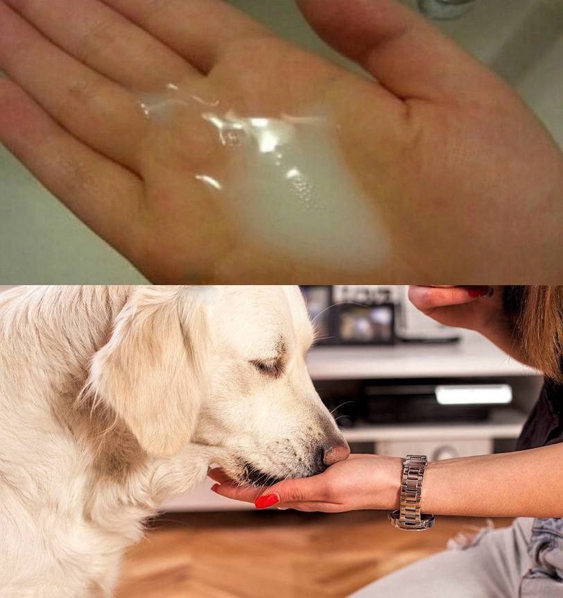 Купить Кончающий Фаллос