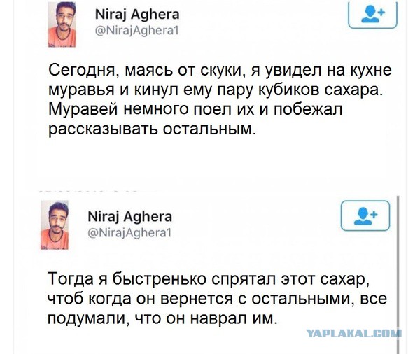 Статус зря ты так Статус зря ты так