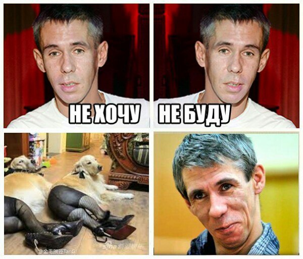 Панин vs пёсик