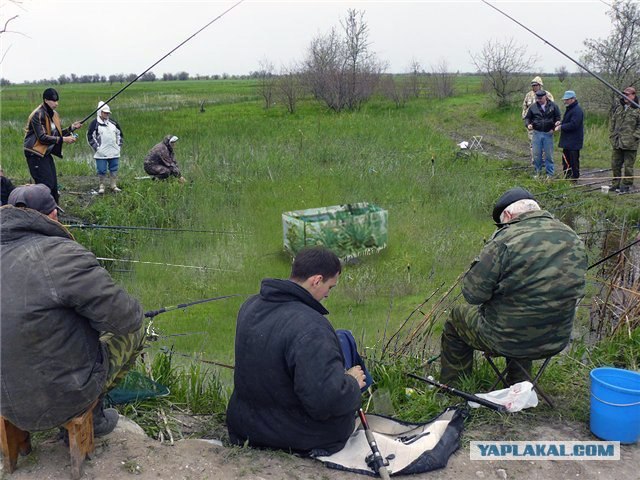 А может на сеть попробовать?