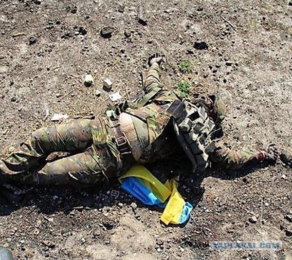 ДНР нанесли залповый удар реактивными снарядами по украинским войскам