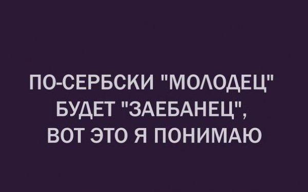 Субботняя порция перлов, высказываний, котоламповых историй