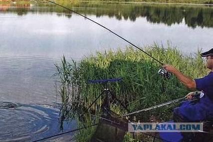 карась в марте на фидер видео карась в марте на фидер видео