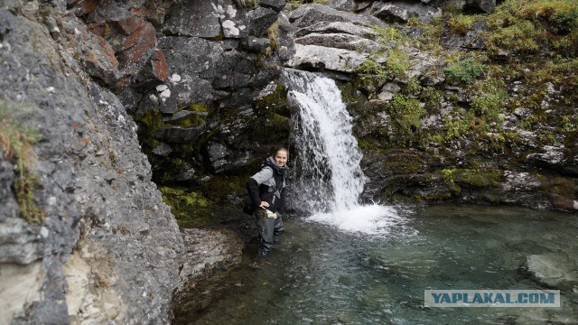 На море в шерстяных носках