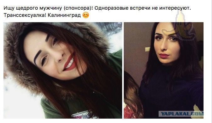 Проститутки Трансы Калининград
