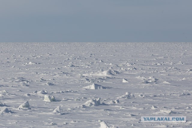 Один рейс из жизни ледоколов