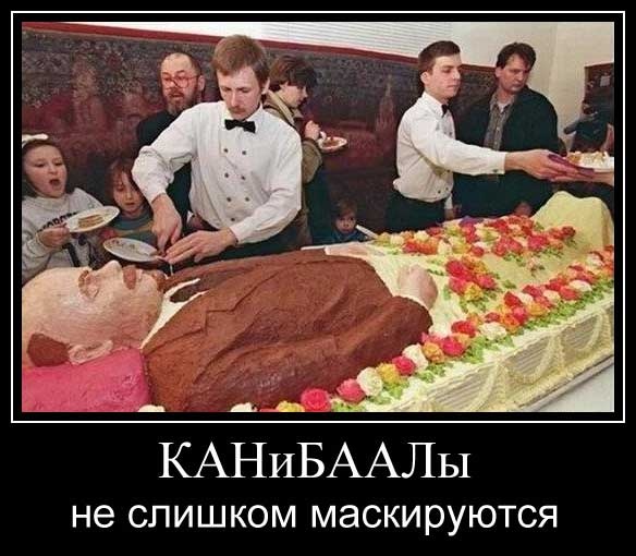 Смотреть онлайн веб-камеры, список камер, ТОП-50