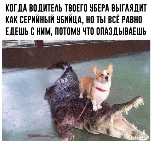 Чернушка к пятничке