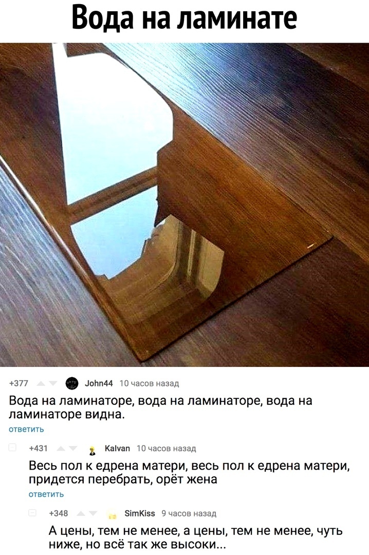 11822801.jpg