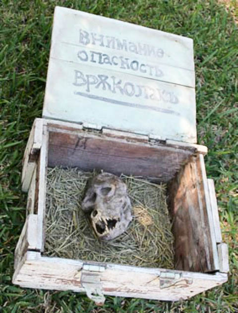 Болгарский фермер нашёл ящик с черепом оборотня