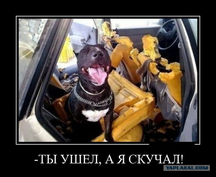 3913011.jpg