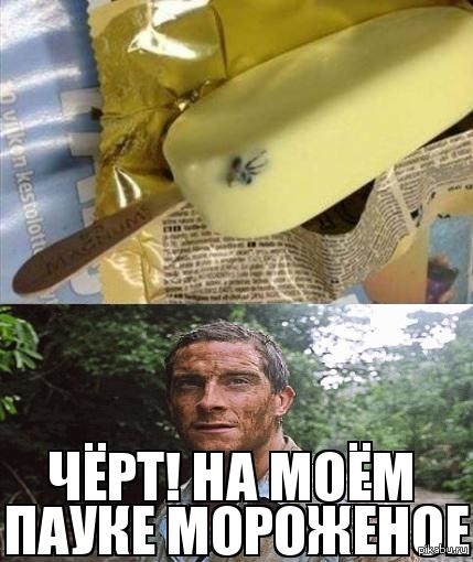 Четвертый день без жратвы