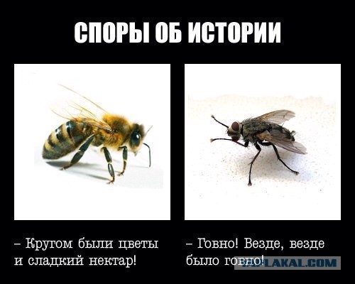 проститутки лурк проститутки лурк