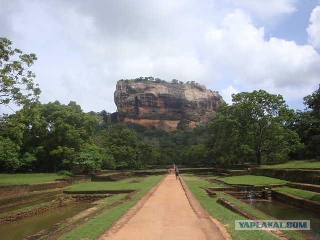 Самостоятельное путешествие в Шри-Ланку