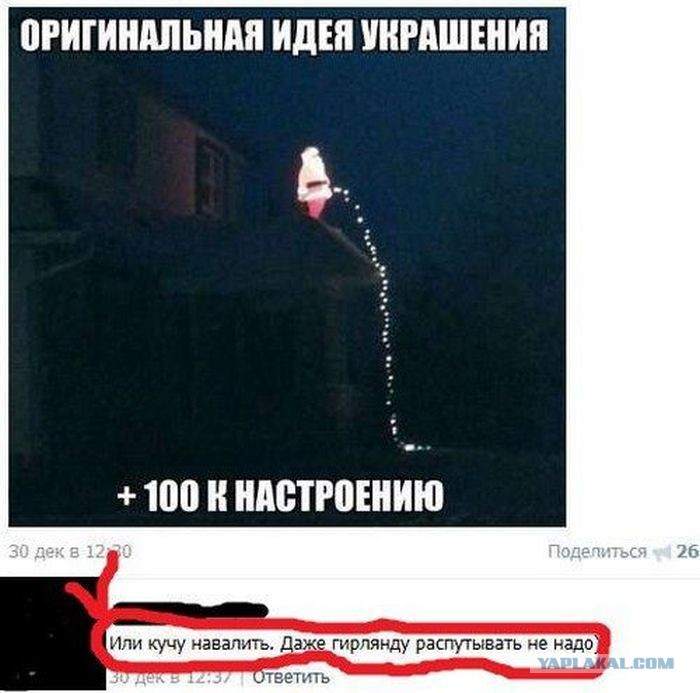 10526611.jpg