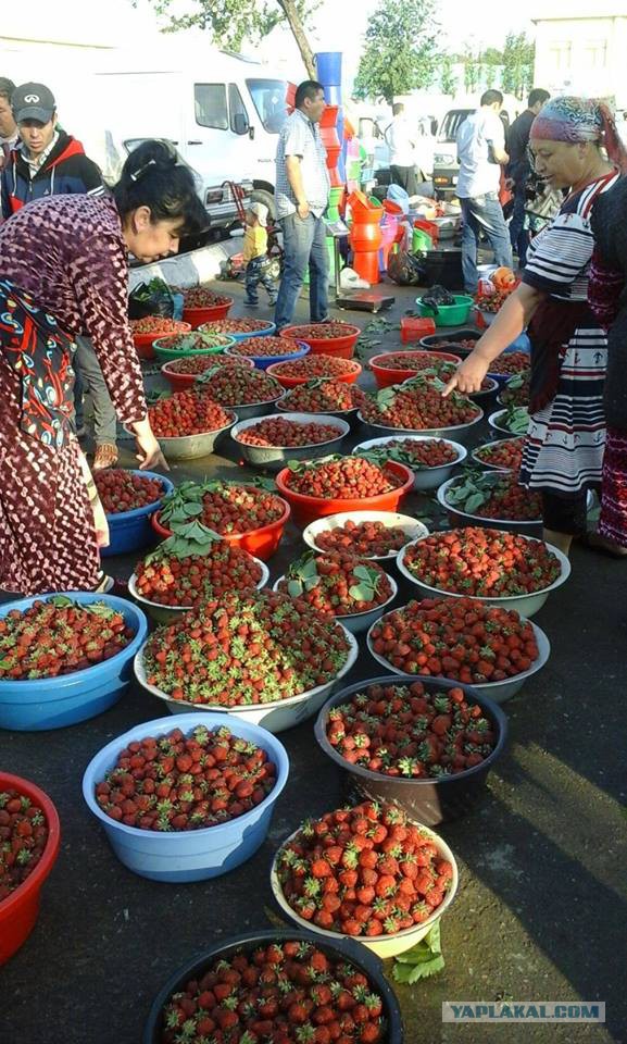 Ташкентский базар 1 мая