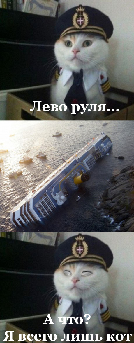 кот лодка готова мой капитан кот лодка готова мой капитан