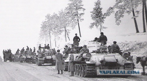 56 гвардейский танковый полк.