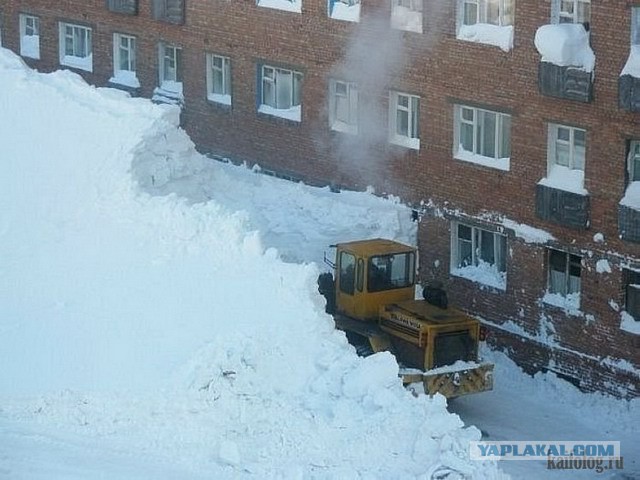 Вот как так ? Колобок умаров сбежал в якутии