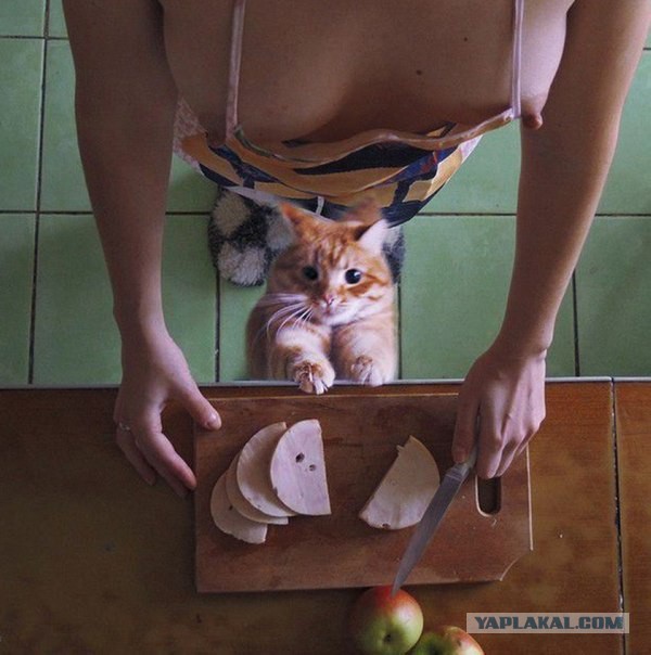 http://s00.yaplakal.com/pics/pics_original/1/1/9/8957911.jpg