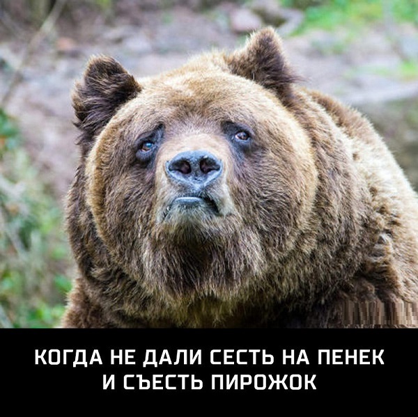 8390021.jpg