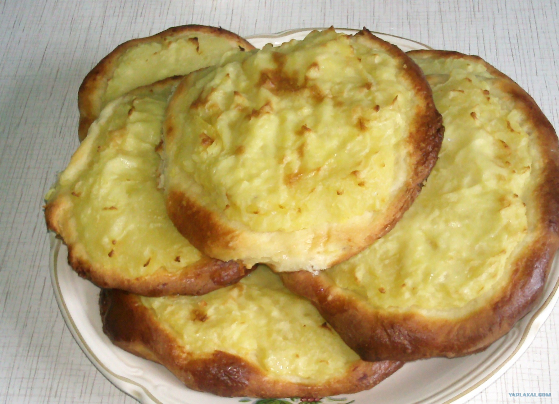 Шаньга Сибирская