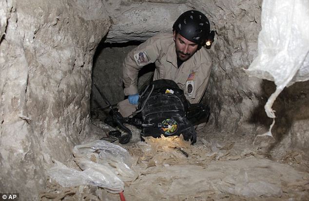 20 тонн "подземного" каннабиса