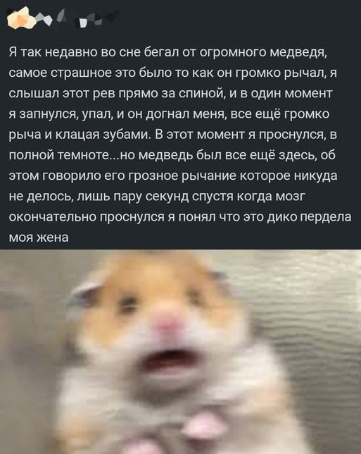 Поворот не туда