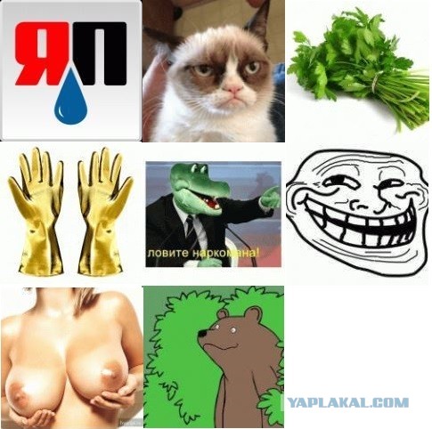 Жёлтый язык у ребёнка фото Жёлтый язык у ребёнка фото