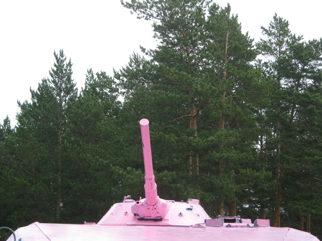 Розовый танк в Братске