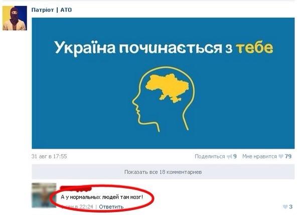 3880921.jpg