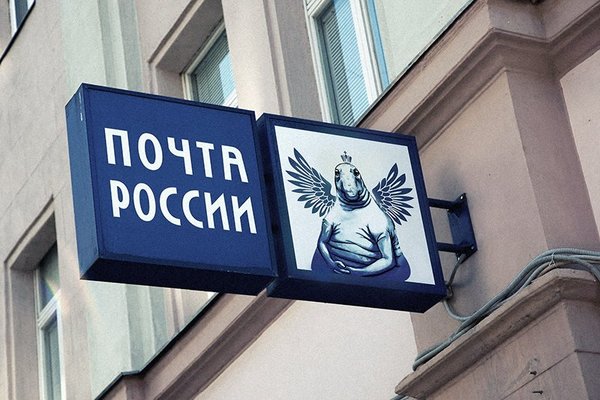 9256921.jpg