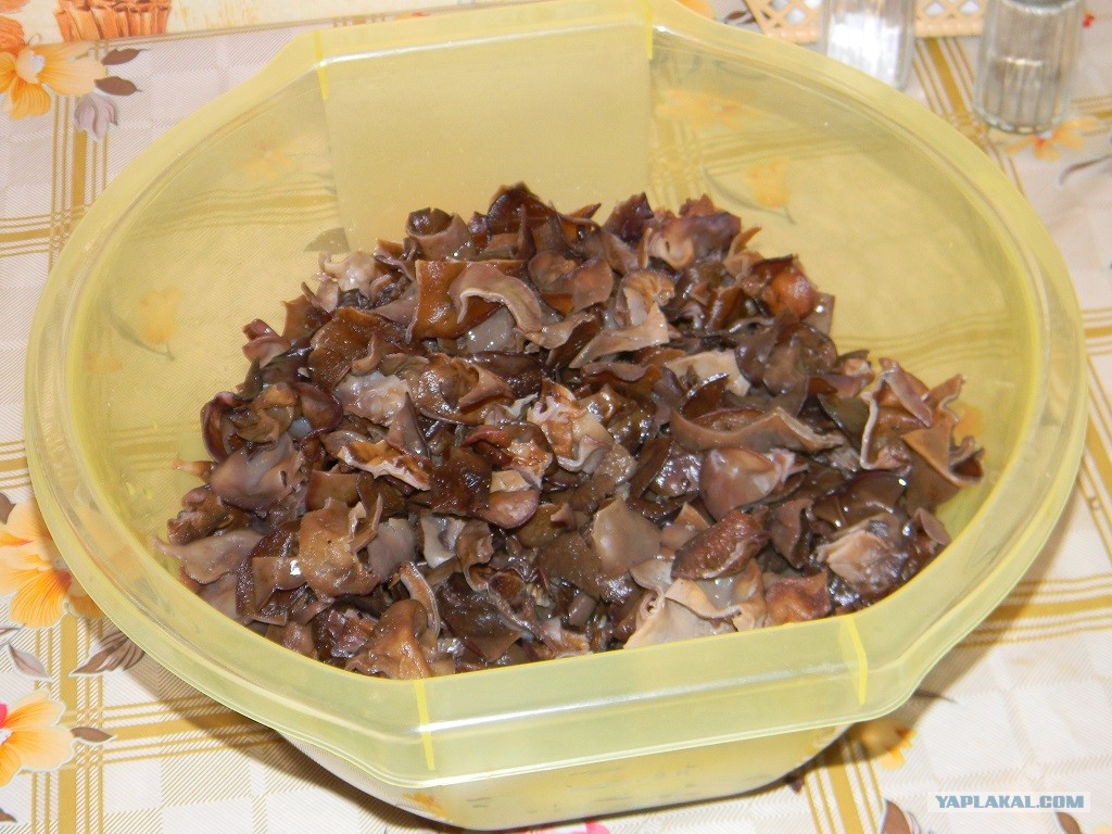 рецепты вкуснейших салатов с корейской морковью с фото