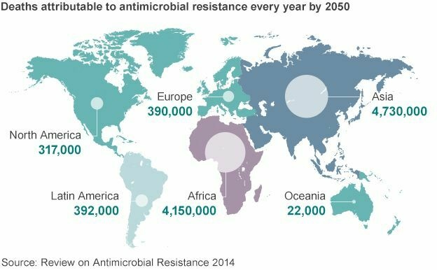 История антибиотиков: когда они перестанут работать