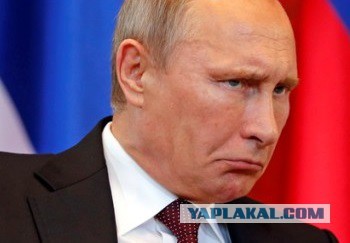 В Совфеде заявили о подготовке НАТО «глобального удара» по России