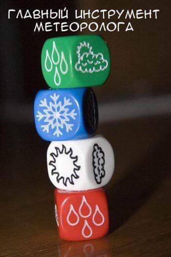 9839531.jpg