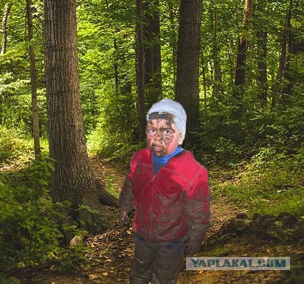 Пропавшего в лесу в Омской области трехлетнего мальчика нашли живым