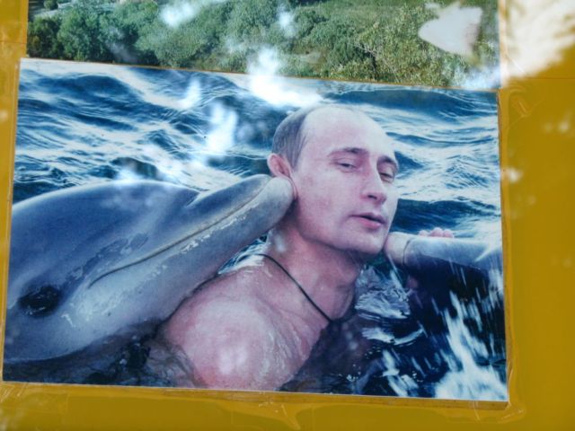 ПУТИН. Все про Путина, ВВП, Владимир Владимирович