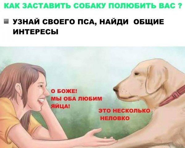 Нестандартный юмор