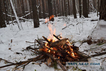 Поход в тайгу