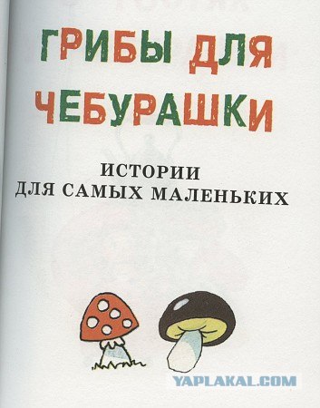 Книжка для самых маленьких