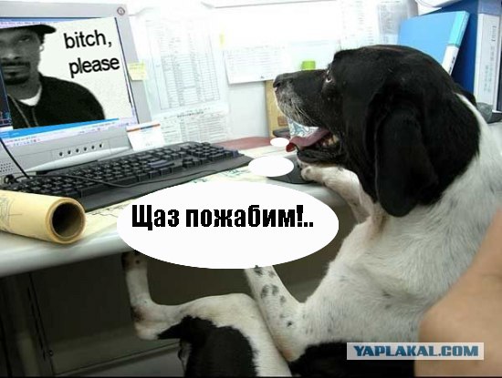 Пес за работой