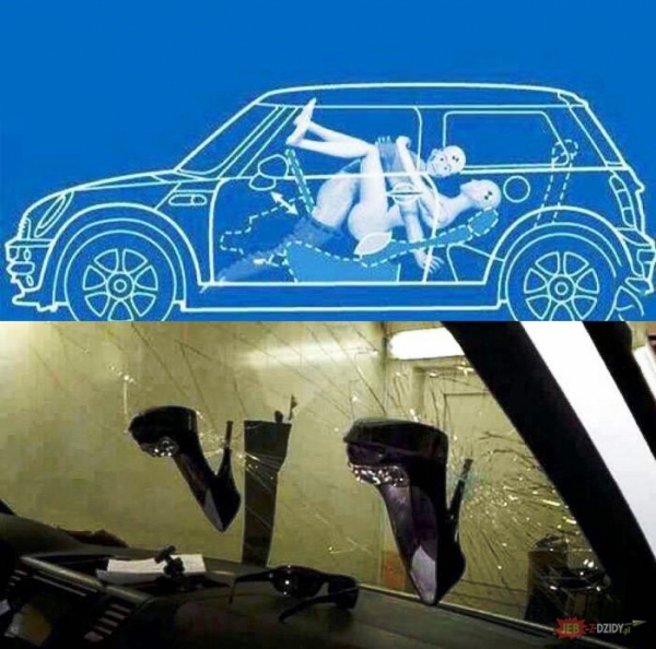 7586241.jpg