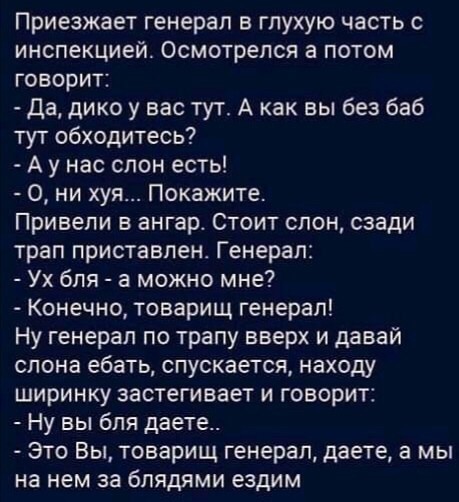 Это интересно! 40 фактов о слонах