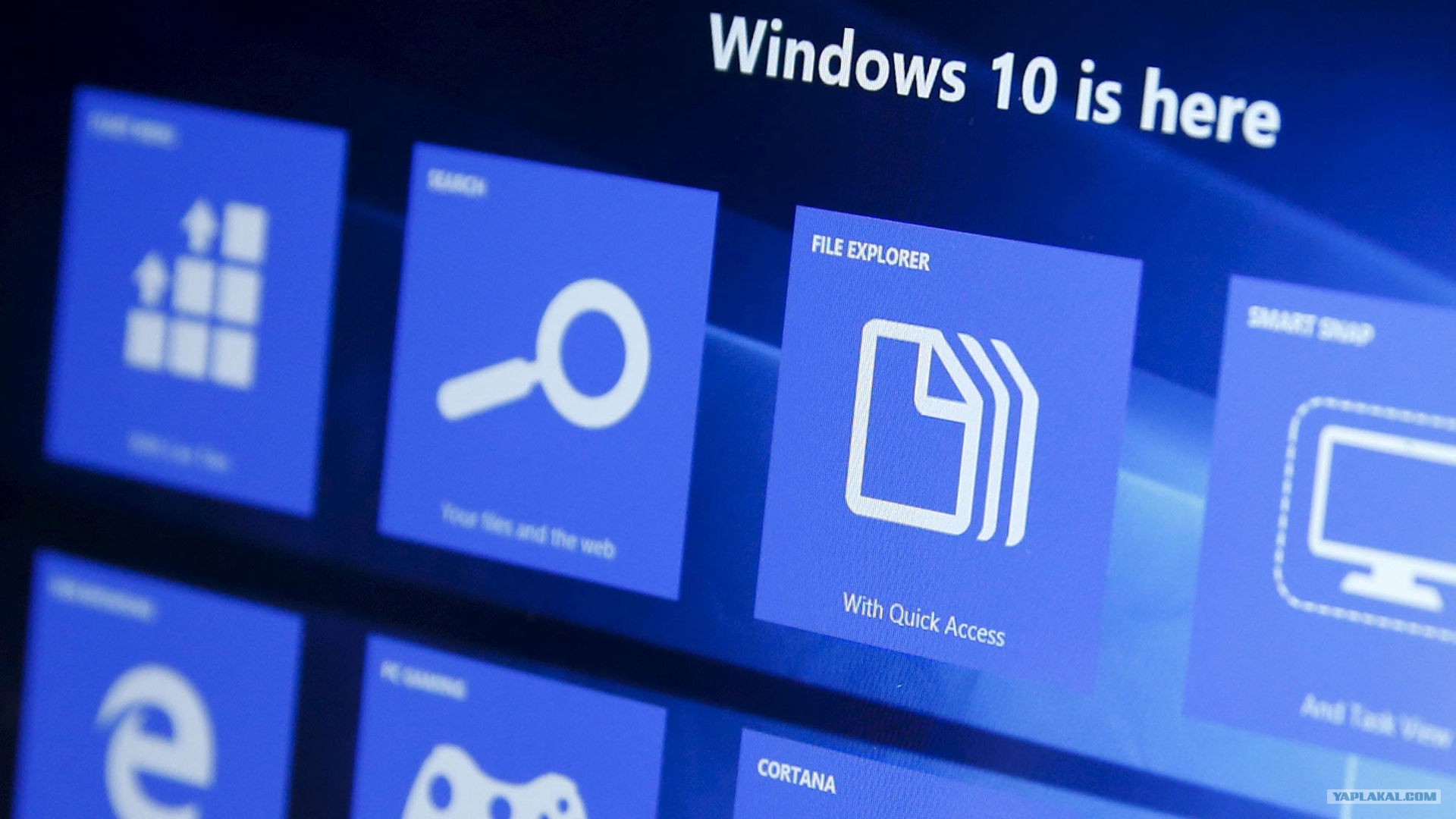 Windows 10   