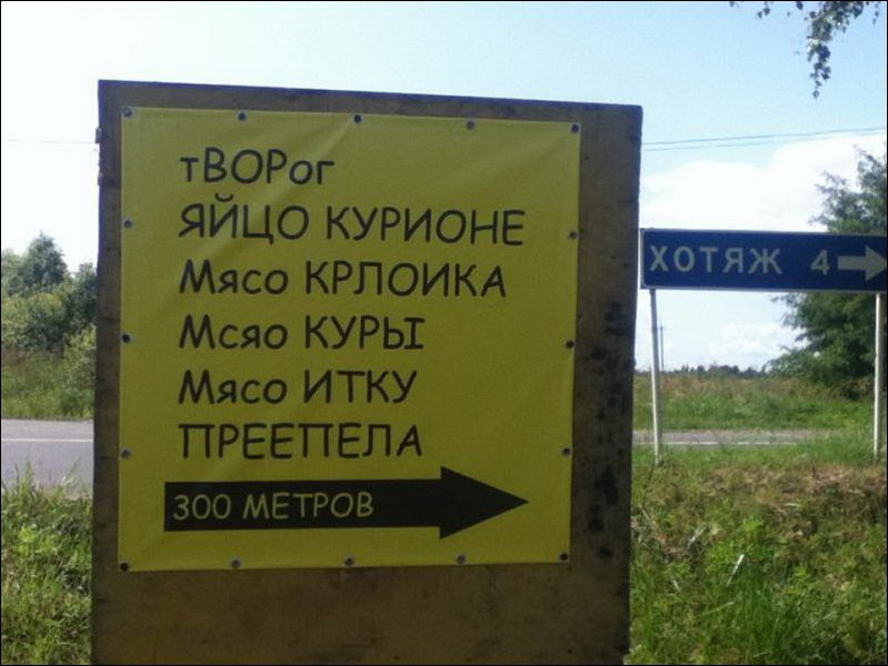 6362741.jpg