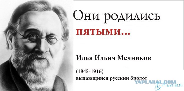 За последние десять лет иметь одного ребенка в семье стало нормой