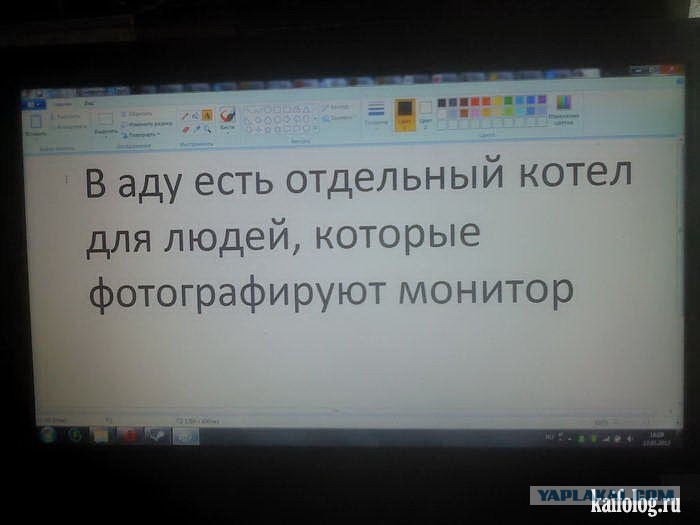 4331151.jpg