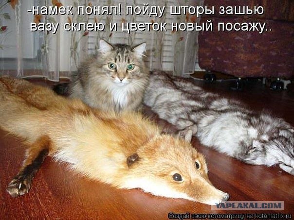 Статус про то у меня только мама и ребенок Статус про то у меня только мама и ребенок